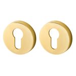 Накладка CYLINDER Armadillo (Армадилло) ET URB GOLD-24 Золото 24,2 шт