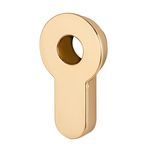Вставка под Armadillo (Армадилло) шток для CYLINDER GOLD-24 Золото 24К