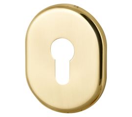 Декоративная накладка Armadillo (Армадилло) на цилиндр ET-DEC (ATC Protector 1) GP-2 Золото