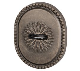 Декоративная накладка Armadillo (Армадилло) на сувальдный замок PS-DEC CL (ATC Protector 1) AS-9 Ант