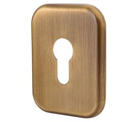 Декоративная Квадратная Armadillo (Армадилло) накладка на цилиндр ET-DEC SQ (ATC Protector 1) AB-77