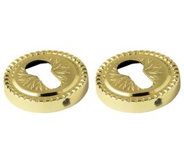 Накладка CYLINDER Armadillo (Армадилло) ET/CL-GP-2 Золото 2 шт.