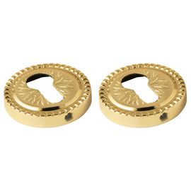 Накладка CYLINDER Armadillo (Армадилло) ET/CL-GOLD-24 Золото 24К 2 шт.